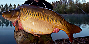 poisson1